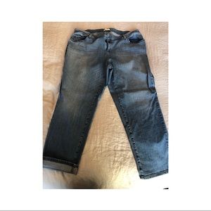 Eileen Fisher Boyfriend Jeans 20W